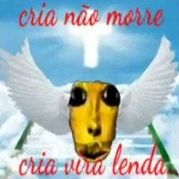 Vinicius Santos85