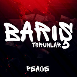 PeaceVII