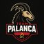 Team Palanca