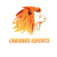 Crashers Esports (was deleted at: 2022-02-12T16:23:27.9108430Z)