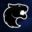 FURIA E-Sports