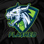 Fla$hed