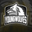 Young Wolves E-sport (was deleted at: 2022-09-30T20:10:53.4038466Z)