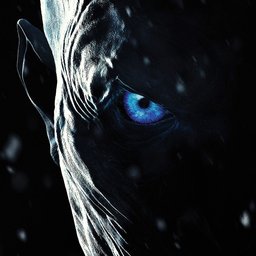 AbbeTheBeast