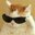 Fat cats