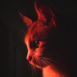 slabbu