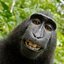 MONKE-sport