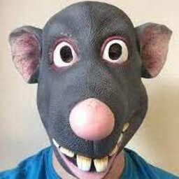 ratonzel