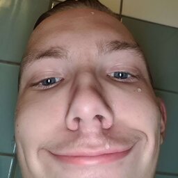 Pufferfisken