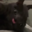 raconsal