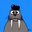Walrus