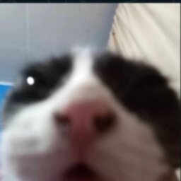 ariiwk
