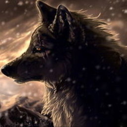 SjWolf