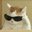 Robz-