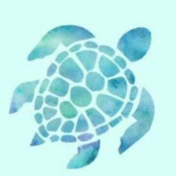 LimaTheTurtle