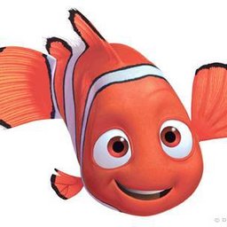 >Nemo<