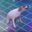Vikiplayer