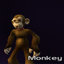 Monkey Kings jr.