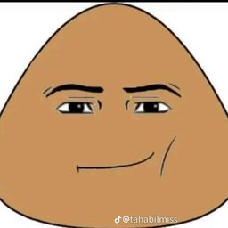 skupty
