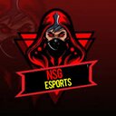 NSG_ESPORTS