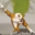 o4ko