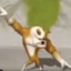 o4ko