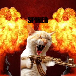 spineroo