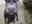 loguizin_BR#0724