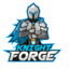 Knight Forge Valorant