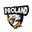 PROLAND.GG