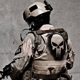 Punisher_vzla