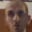 Dolej miodu223 (was deleted at: 2022-01-21T01:33:14.3589747Z)