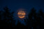 Lua cheia (was deleted at: 2023-07-22T20:53:01.2327298Z)