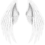 WhiteWings
