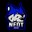 NT Gaming