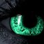 NotSee (was deleted at: 2023-04-25T14:25:28.7583993Z)