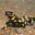 Salamander