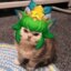 fofofadas (was deleted at: 2025-05-11T20:39:06.8893034Z)