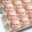 Botegg