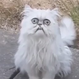 HEHEHEHEHEHEAHAHAHAHXD