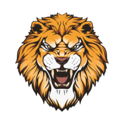 LionsF.C.Admin