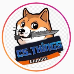 cs.things