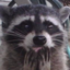 Customs fun (was deleted at: 2019-10-21T21:19:52.8856207Z)