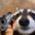 Dreiyf