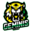 Team Geminis