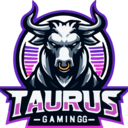 Taurus Gaming TG3