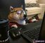 Dog's Style