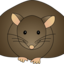 FatRat