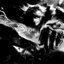 MoonLight666