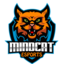MINDCAT Esports